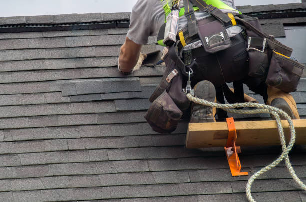 Best Roof Gutter Cleaning  in Greenville, VA